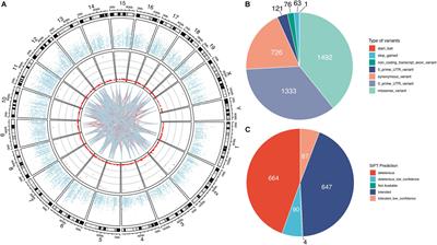 Transcriptome-Wide Identification of G-to-A RNA Editing in Chronic Social Defeat Stress Mouse Models